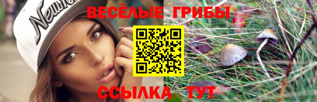 Галлюциногенные грибы мухоморы Лесозаводск