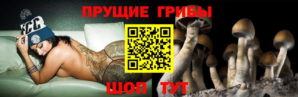 Лесозаводск  Псилоцибиновые грибы прущие грибы  Вход с VPN 